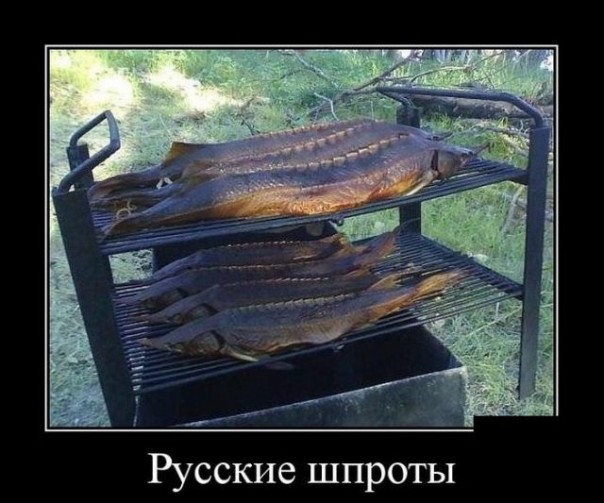 Смех в картинках