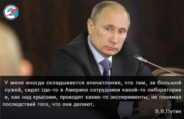 "Мыздобулы" в картинках. Смешных и не очень... 28-11-2016