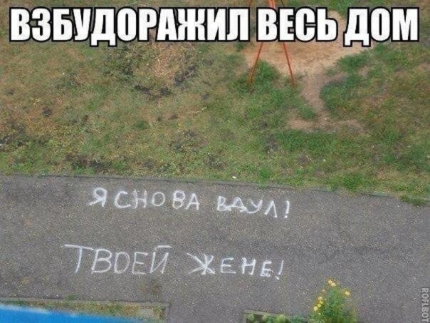 Смех в картинках 2
