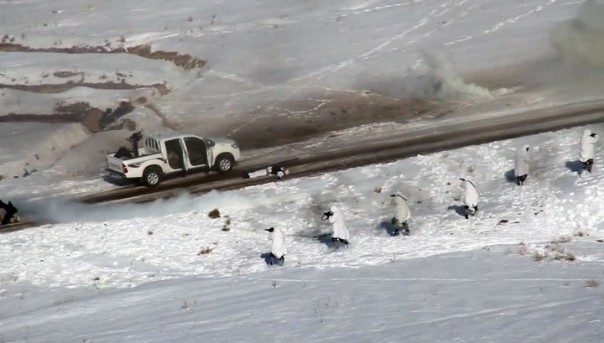 В Таджикистане прошли совместные учения "Щит-2016"
