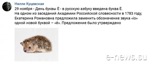 "Мыздобулы" в картинках. Смешных и не очень... 29-11-2016 "Мыздобулы" в картинках. Смешных и не очень... 29-11-2016