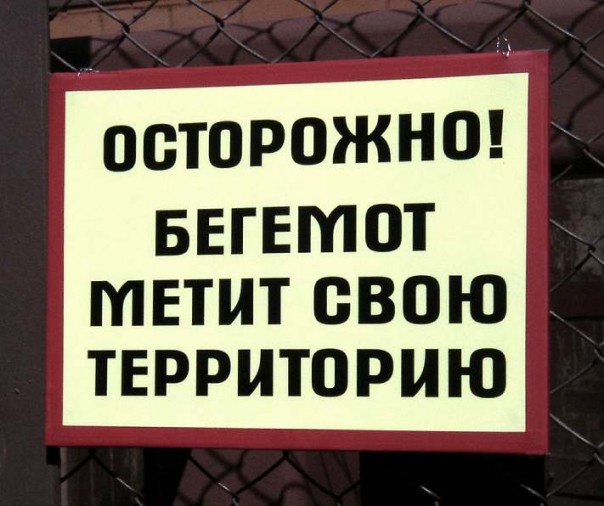 Смех в картинках 3