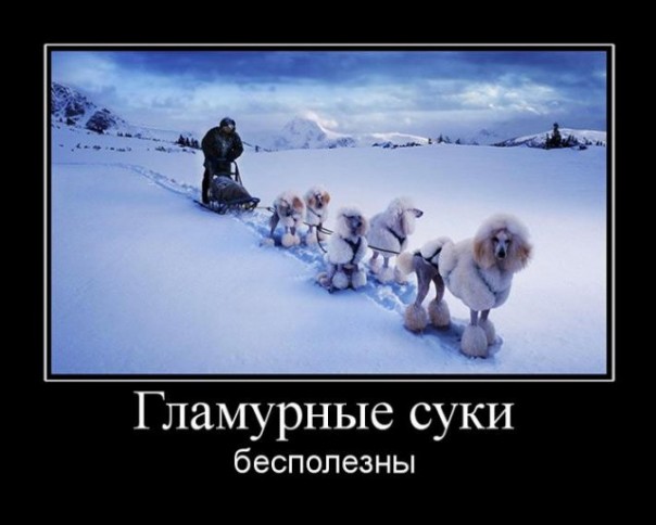 Смех в картинках 3