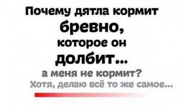 Смех в картинках 3