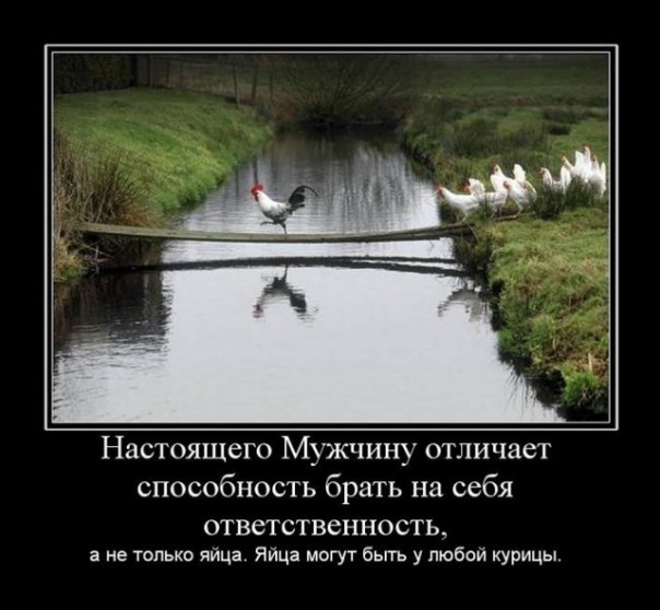 Смех в картинках 3