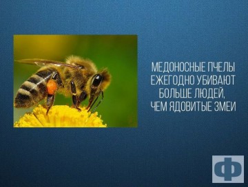 Интересные факты 2