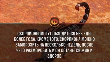 Интересные факты 2