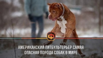 Интересные факты 2