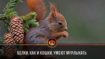 Интересные факты 2