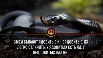 Интересные факты 2