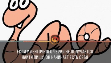 Интересные факты 2