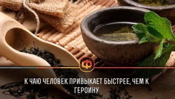 Интересные факты 2