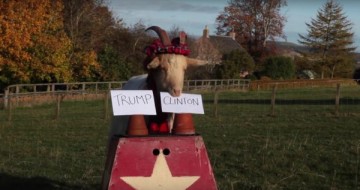 Животные, которые уже сделали свой выбор: кто станет новым президентом США? Животные, которые уже сделали свой выбор: кто станет новым президентом США?