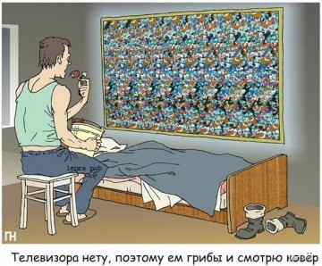 Хохмы с Сети. 14.11. Утро