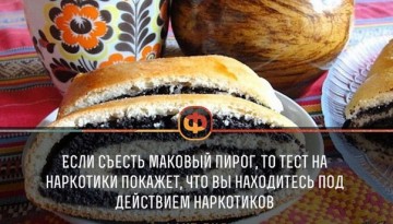 Интересные факты 3