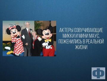 Интересные факты 3