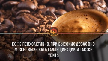 Интересные факты 3