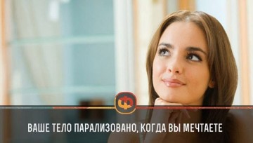 Интересные факты 3