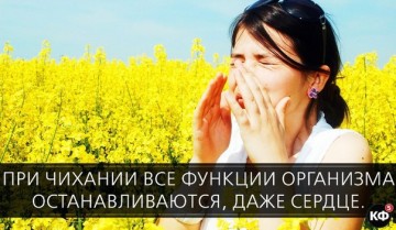 Интересные факты 3