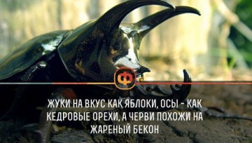 Интересные факты 3