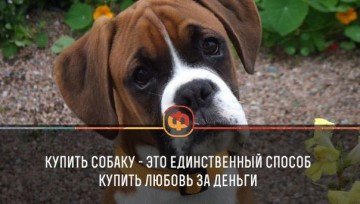 Интересные факты 3