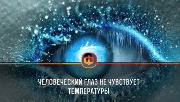 Интересные факты 3