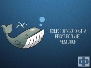 Интересные факты 3