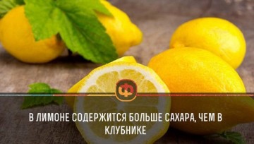 Интересные факты 3