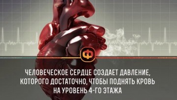 Интересные факты 3