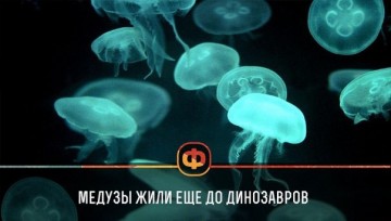 Интересные факты 3