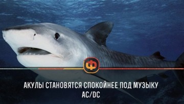 Интересные факты 3