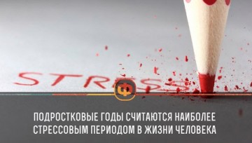 Интересные факты 3