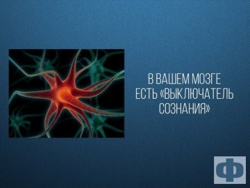 Интересные факты 3