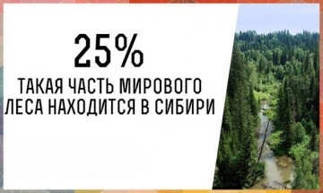 Интересные факты 3