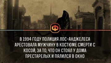 Интересные факты 3