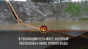 Интересные факты 3