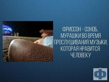 Интересные факты 3