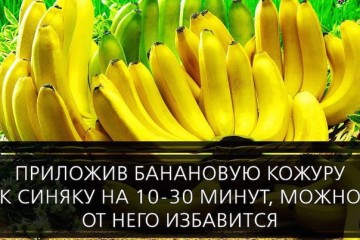 Интересные факты 3
