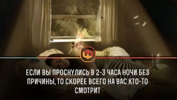 Интересные факты 3
