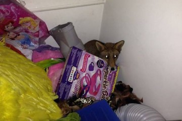 Факты о Британии, которые вы не знали