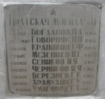 В чем сила, брат? Василий Волга