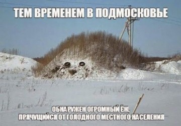 Моя дочь ест ёжиков