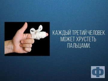 Интересные факты 4