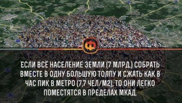 Интересные факты 4