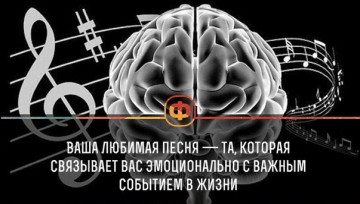 Интересные факты 4