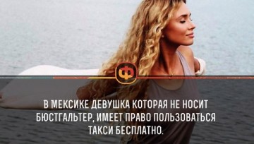 Интересные факты 4