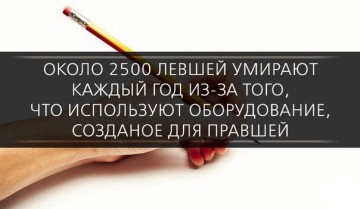 Интересные факты 4