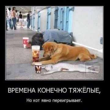 Смех в картинках