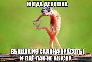 Смех в картинках 2
