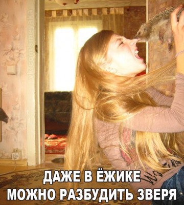 Смех в картинках 2